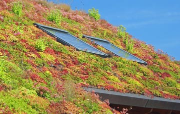 Colpy living roof systems